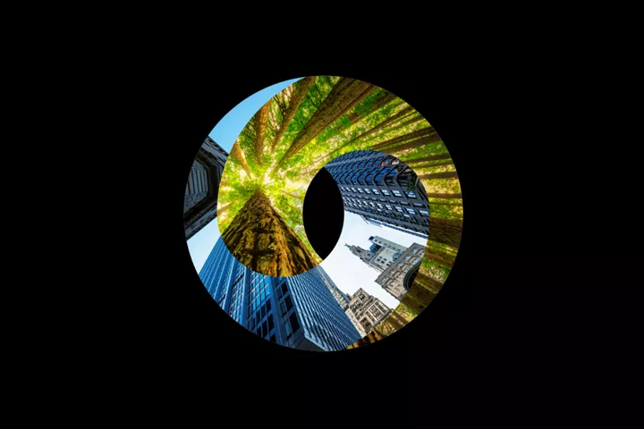 The power of place: Building healthy and resilient communities